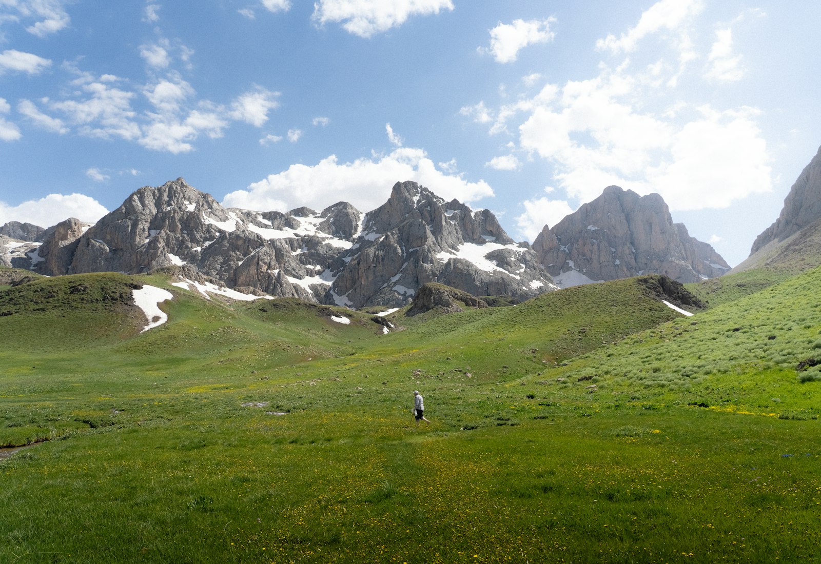Erzincan'da karlı dağların eteğinde yeşil yayla